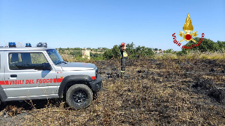 Cupra Marittima - Rogo in contrada Sant’Andrea, torna l’ombra del piromane